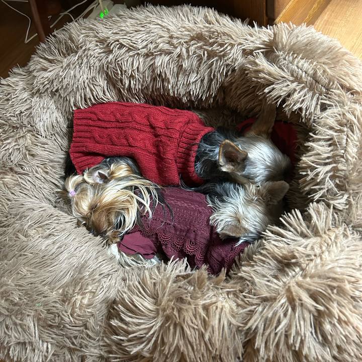 C0afb908 12ce 4d08 8a6d 091622fa3bad 1735619154138