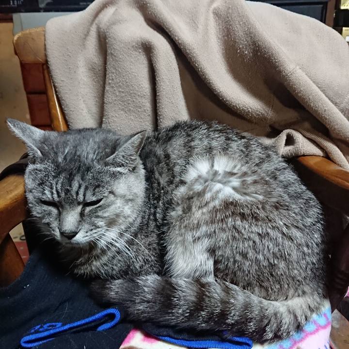 C0afdc9e 4e95 4268 bbe0 536c8fc91555 1572782425635