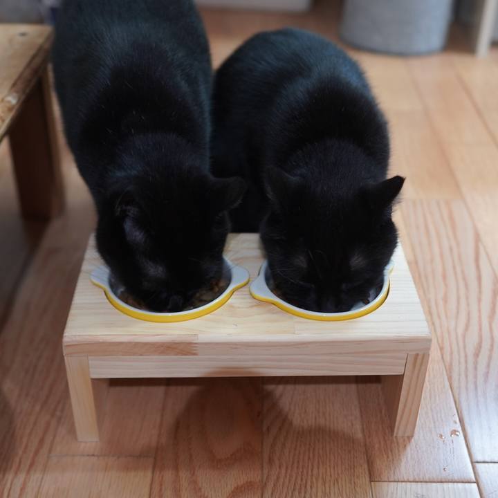 C0b049fd 377f 4c83 8ca2 16ddfd456328 1598266085808