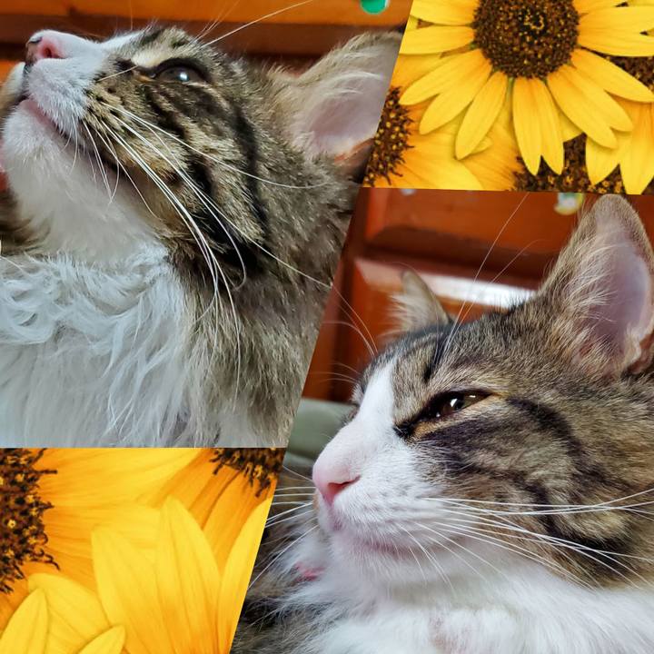 C0b04ae8 9a43 4975 ba90 98df3e455a8e 1687079877638