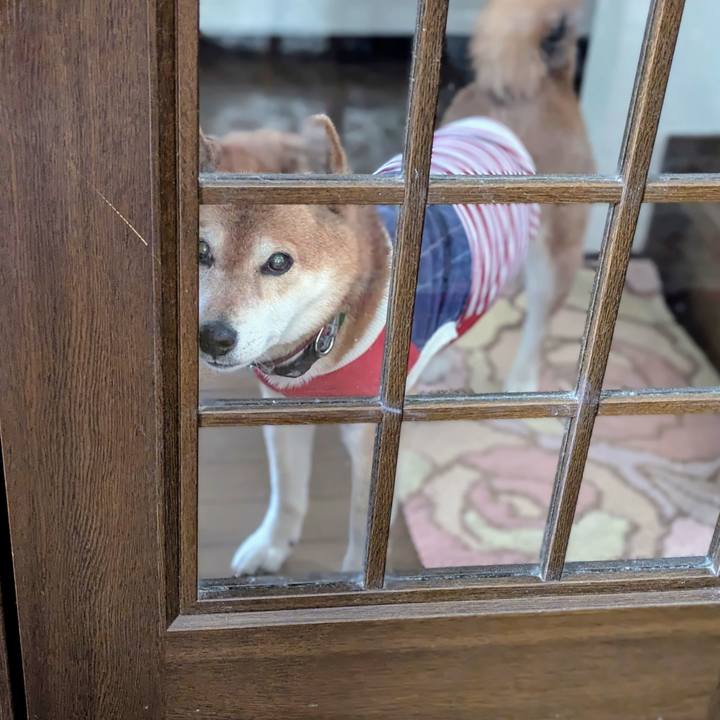 C0b07aa7 9cb1 4cd9 bb4b c81d616540ad 1743222109910