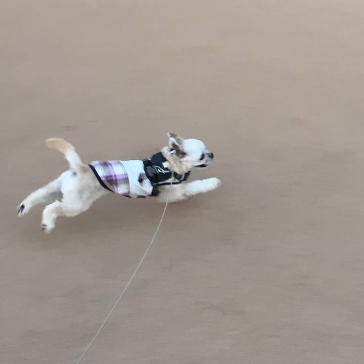 C0b083de b13b 420b bb58 3fb1ba5916fb 1565434427756