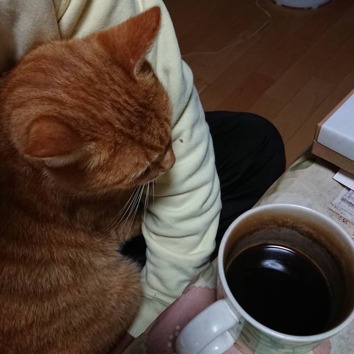 C0b0a429 b063 4a35 811d 8448866bb03e 1601103185209