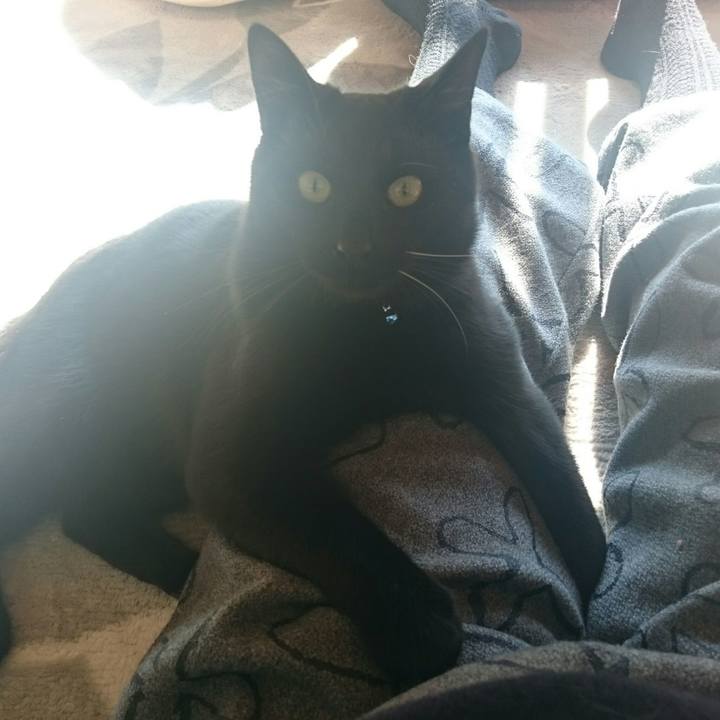 C0b0c954 4c3d 491c 9f88 d33f8048473d 1514000755536