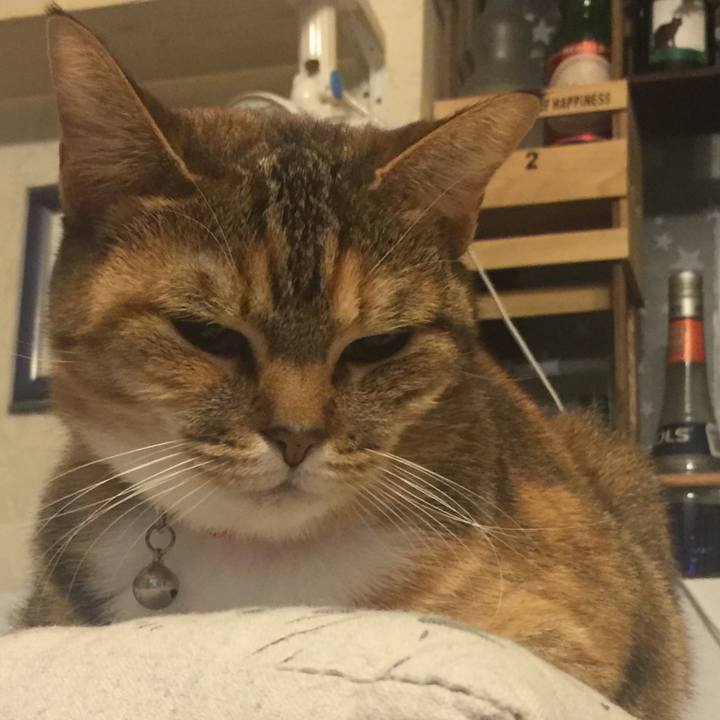 C0b0ca28 fdfa 49d0 8ea6 8e38fc0db7a9 1548862134474