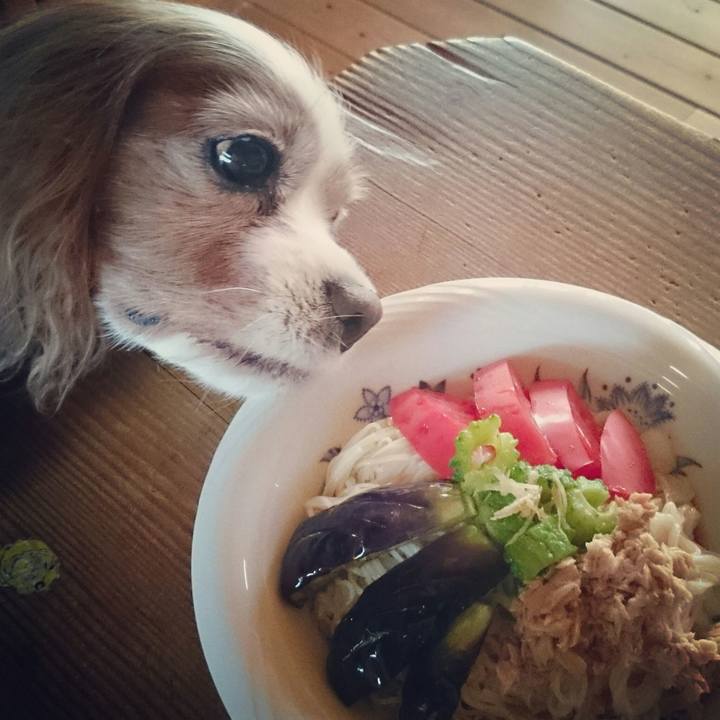 C0b0e0ca 792e 41ab bbd0 208beda08f28 1534028100605