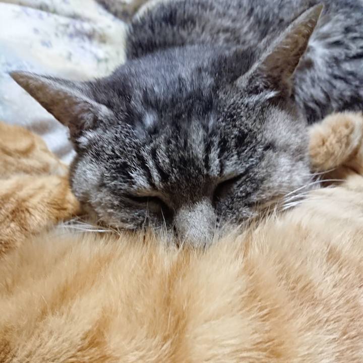 C0b0fe9f 68f5 4acf af5c 46a4cd3e154e 1575377256653