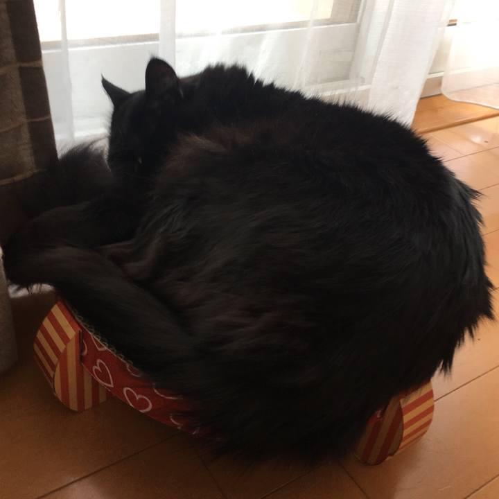 C0b15627 cb85 4e79 a66f e4dc2900160f 1525138229472