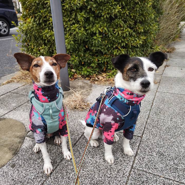 C0b179f8 ccb5 46b8 9cfe 8f96f244865f 1737296589006