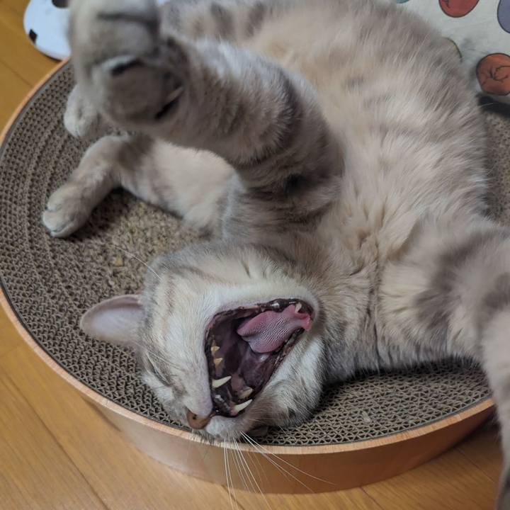 C0b1a3c1 b9a2 422a 9ca7 84936ffb2c54 1716178097375