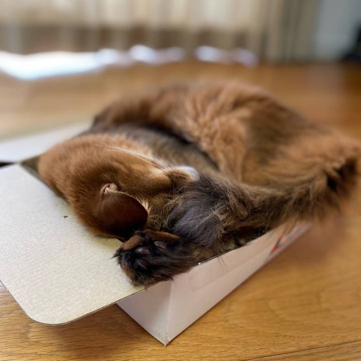 C0b1ad93 7ab5 4220 b492 365cd00cdcaa 1693467712199