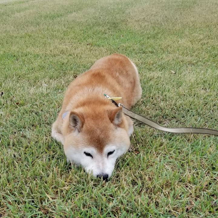 C0b2022f b187 4354 b3c9 2447352dccda 1656835012939