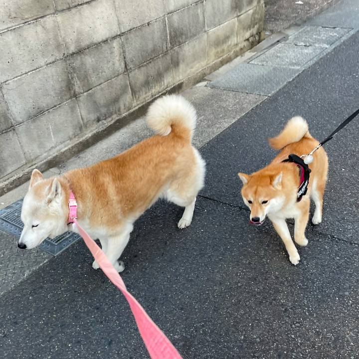 C0b2126b 2649 4d5b a39f 48f2ea9efc0b 1644228480518