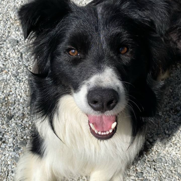 C0b219dc 1590 4e2e af76 a25c5785f51e 1651453497705