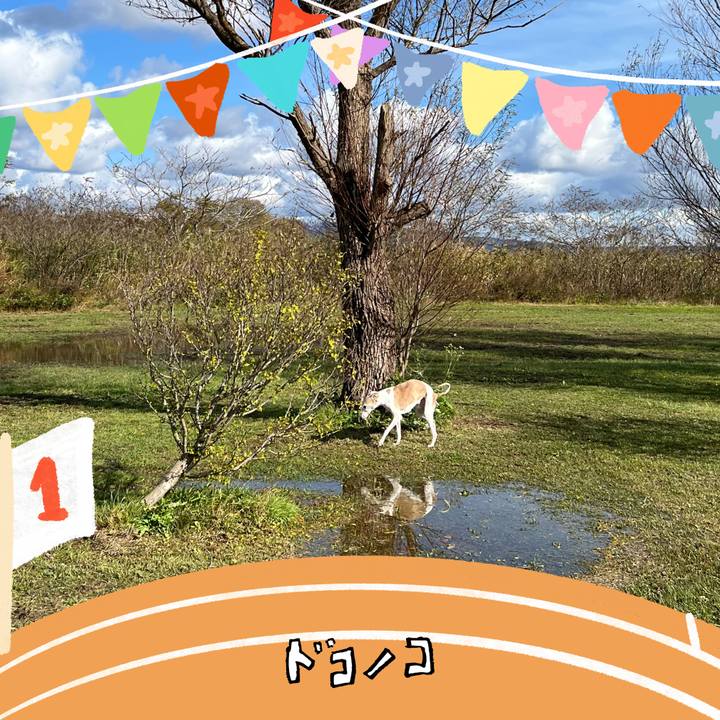 C0b21ca6 042a 4e20 a949 dd02a1541756 1762244276228