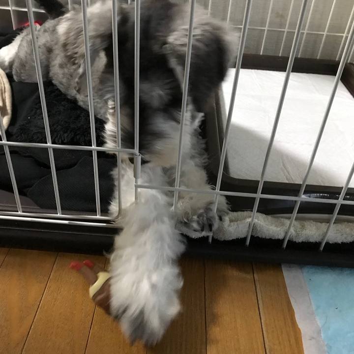 C0b230f7 9131 44a1 83e0 5909e373f62e 1568447978519