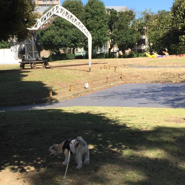 C0b2801e f92b 48ac 9748 c42f7e31c4c7 1538895775310