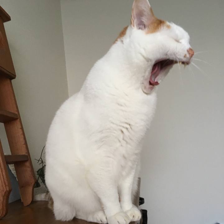 C0b2ad36 70a8 4590 b2da 73b9b1b67639 1513466411050