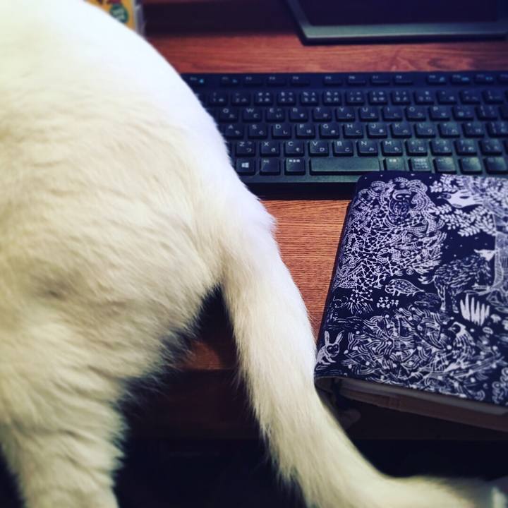 C0b2bc88 a165 4c49 9a24 e7b6dd657b42 1533050069820