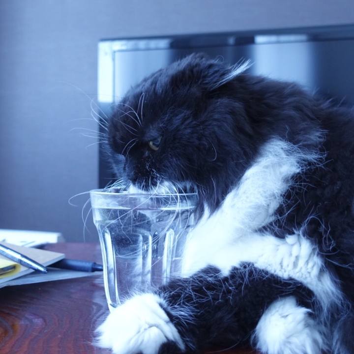 C0b2cb1e b993 4272 90ab 9b08fe47a77f 1516240153693