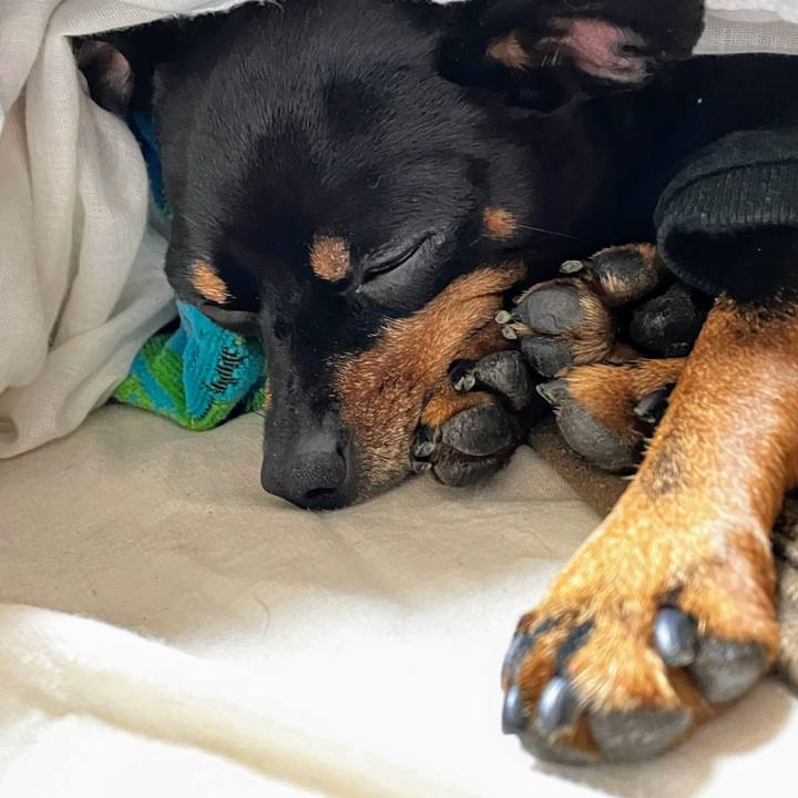 C0b2e588 af97 44da bf88 53eddfe9745b 1708265720783