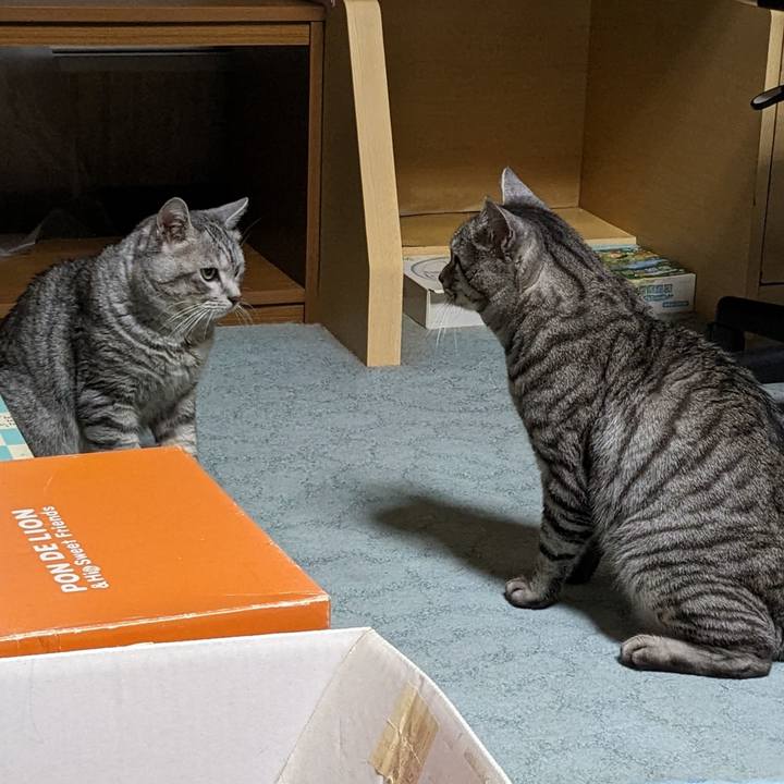 C0b32d48 7fc5 4051 861d c0f24cbf8532 1705573745814