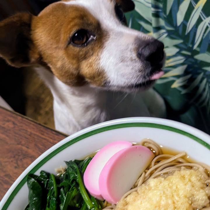 C0b365f1 1907 4499 94a2 9da1f4249c2c 1735642542927