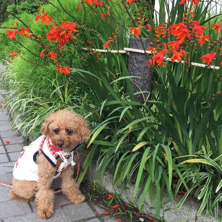 C0b36ec3 7c23 4582 86a7 b3274fa53c0e 1531979760671