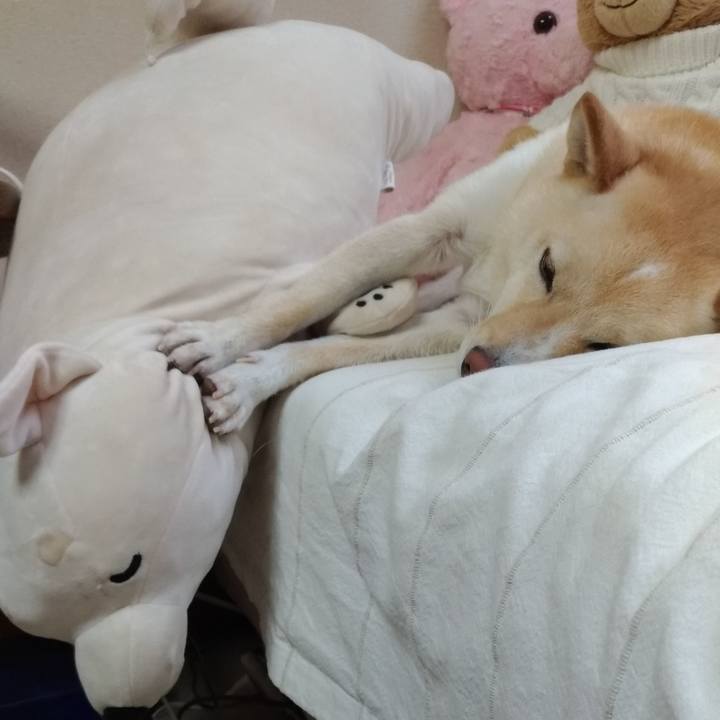 C0b372ea d9ca 4a6f b349 4da9e6a2d28a 1569300567114