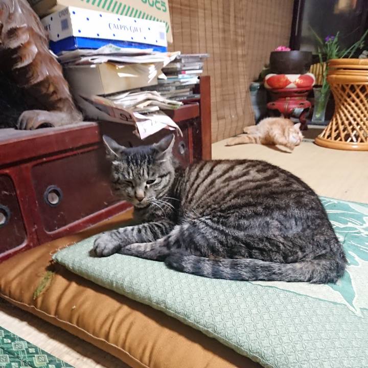 C0b38ee2 996c 459c 9541 2500774d2ccc 1655329812468