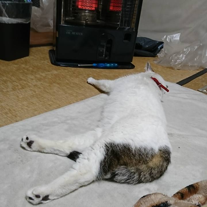 C0b3a7f1 02e3 46ac a402 92f8d5862831 1514214266106