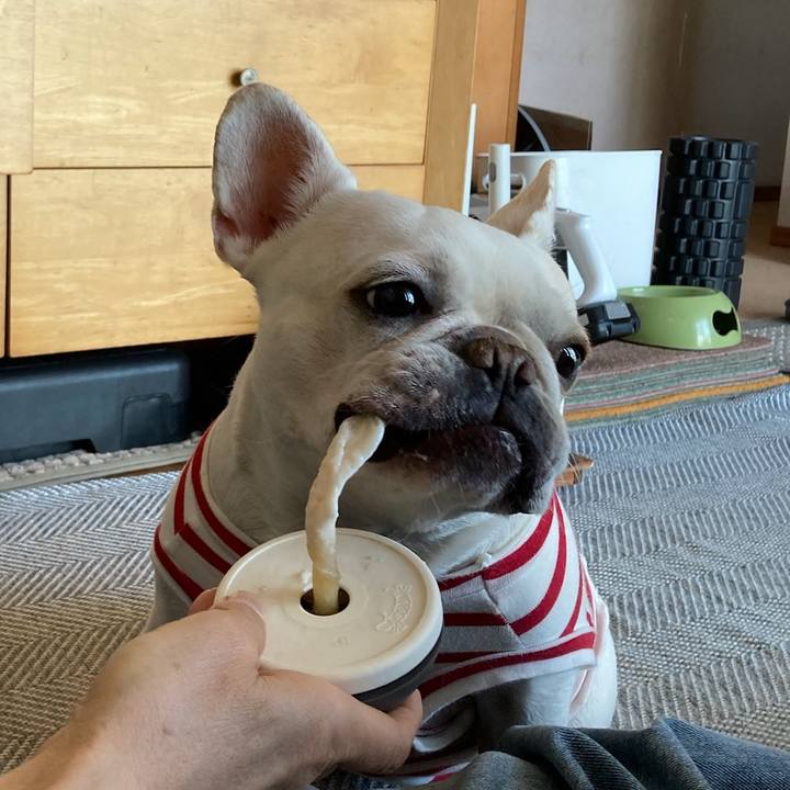 C0b3c7e3 e65b 4c9a 829f 7ace170cba81 1744854920420