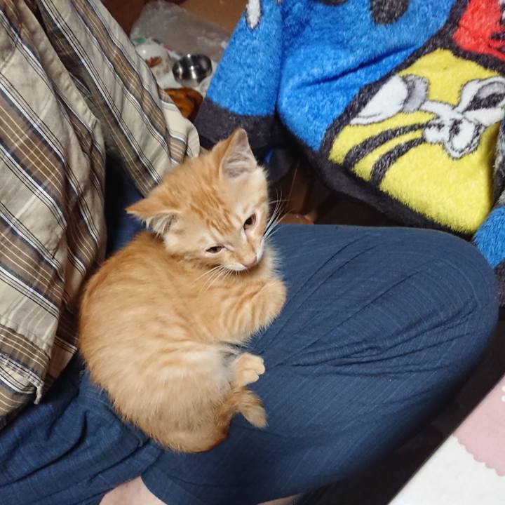 C0b4077f 9deb 4cd4 ae1c 0376400ee317 1631049731809