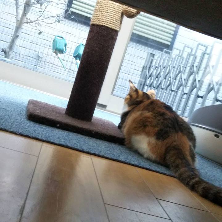 C0b40b4f 2ff8 498b a5c4 613c37f051c0 1642457275541