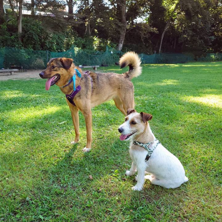 C0b45072 d20f 494e b27c 7caa0a3a1335 1752971049357