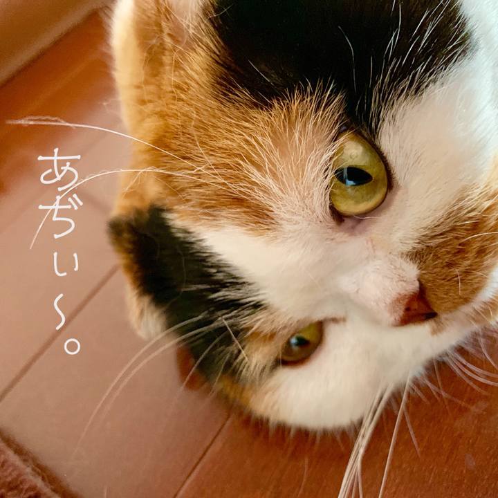 C0b45b4c 10ad 4e44 b121 8eedd2b82963 1564447340044