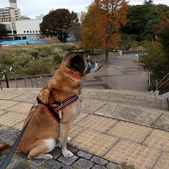 C0b45cb6 3a55 403d 85c6 469aea1c7cfc 1697328218799