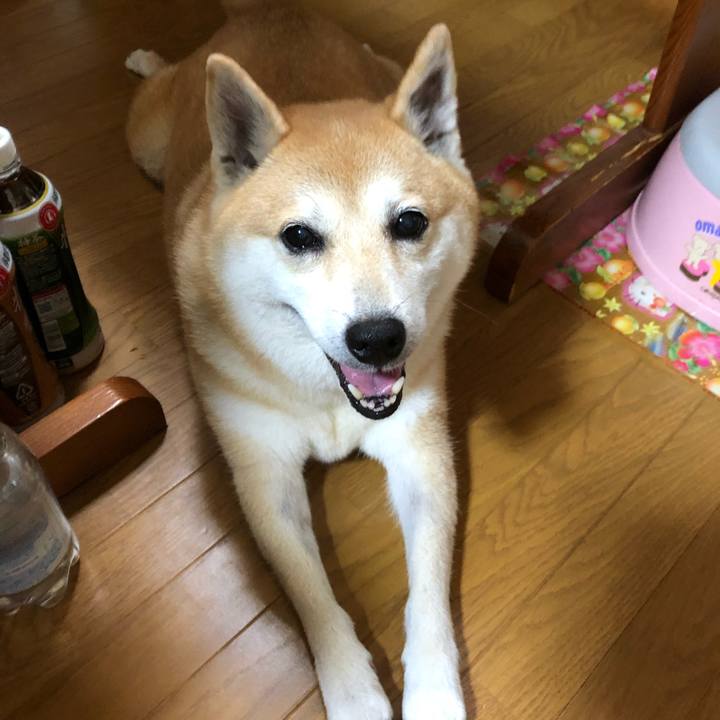 C0b462e9 0c2b 41a6 a3f6 0e2fe5e482d3 1566577560946