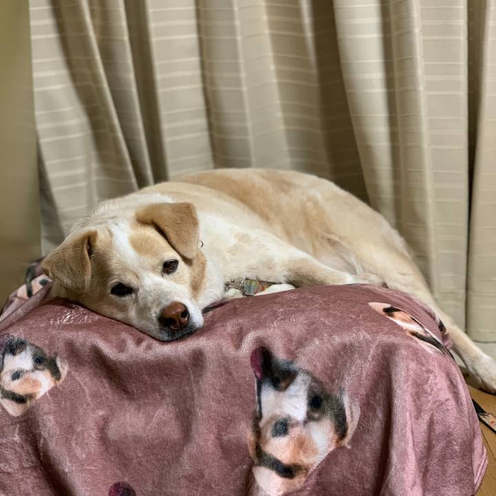 C0b4744a b8ce 4d6b b5fb 362986ffa51e 1620127205165