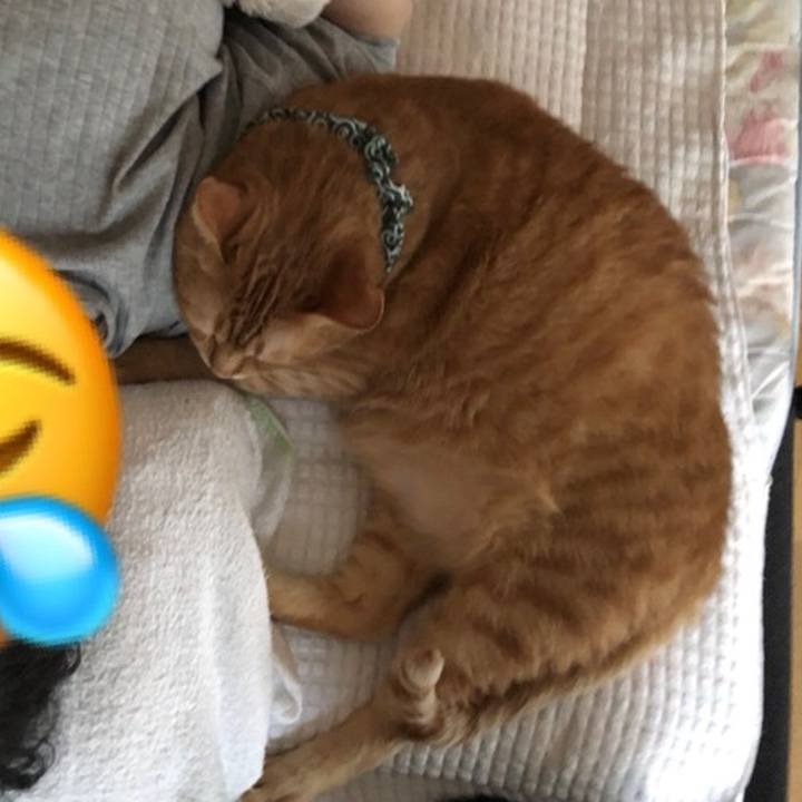 C0b486e9 d7f7 45d7 b460 e0b3e5523233 1586206229900