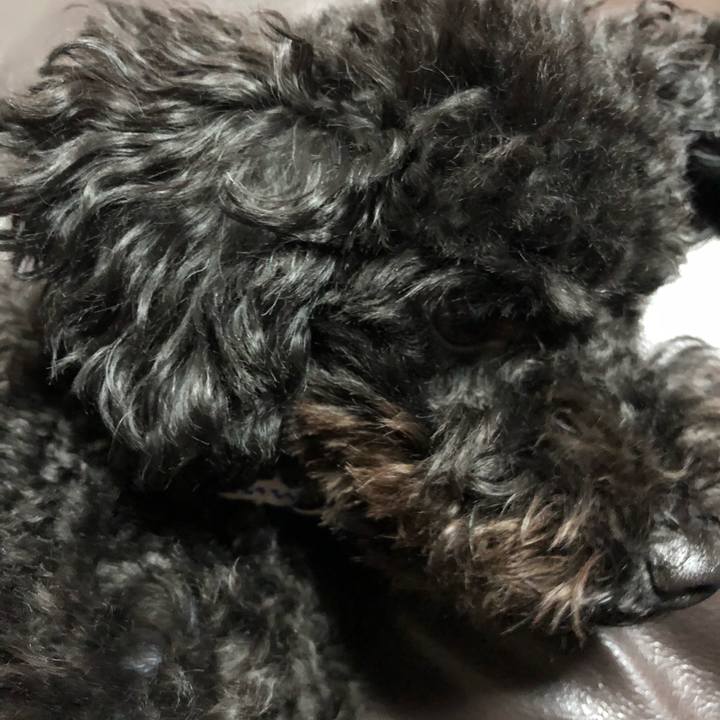 C0b48bb5 3603 4106 875d d63fda882607 1511871912979