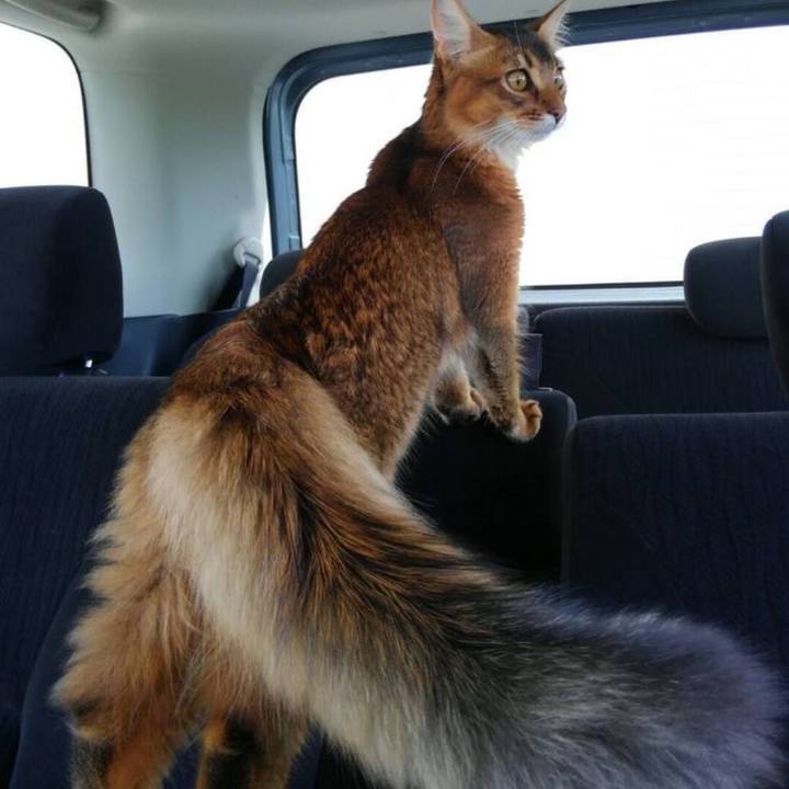 C0b4a5b4 a6ab 4eb0 8c5c a37fcdb47199 1738453782779