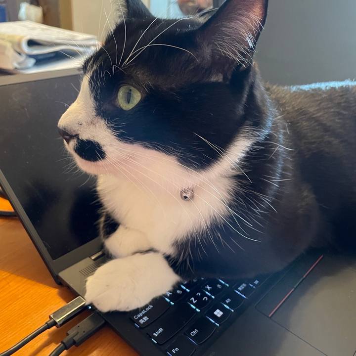 C0b4de43 29ef 4a20 9d81 ae70831a356d 1682763365897