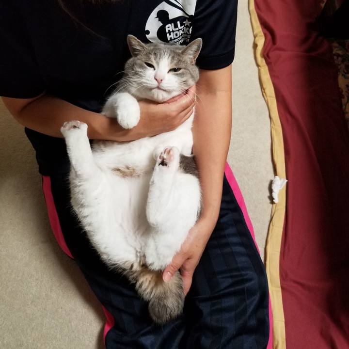 C0b54355 aee4 4d6b 9794 1399f0192ebd 1630072458684