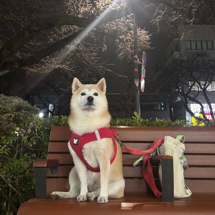 C0b56043 10e8 4d5a b4cb e917bd3db4fb 1738457401156