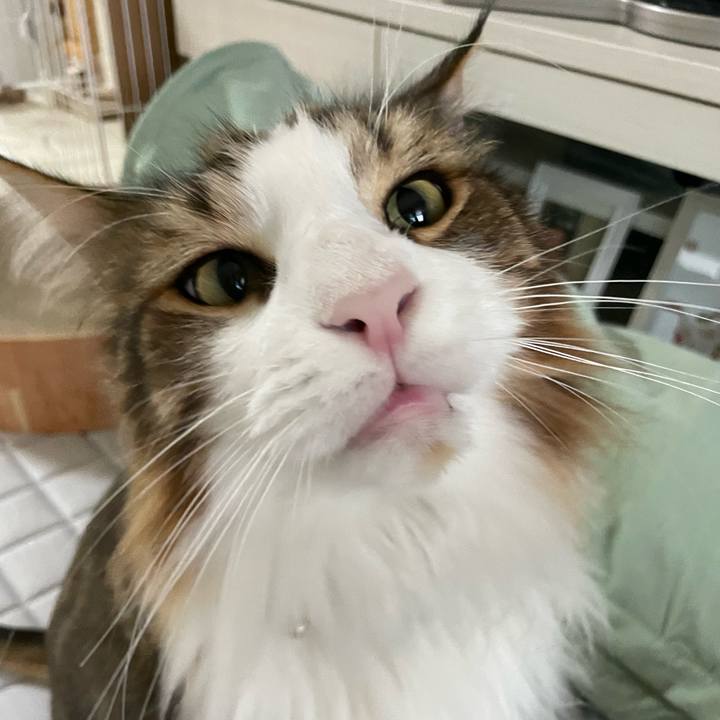 C0b57a82 2091 4805 a819 f4ed149f4bfd 1689105448228