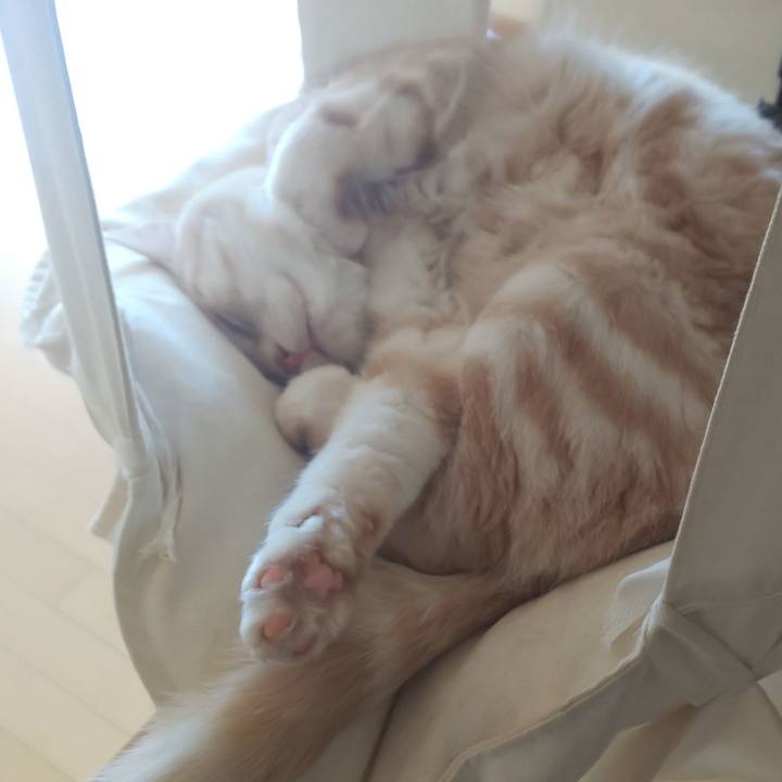 C0b5a6dd 15e1 457f 8888 f7c4fbdbd024 1548207799133