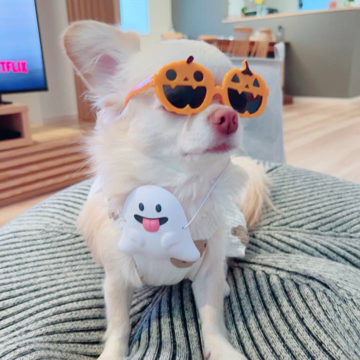 C0b5e75a ee70 4551 ac7b c5ca6a62232b 1693467504762