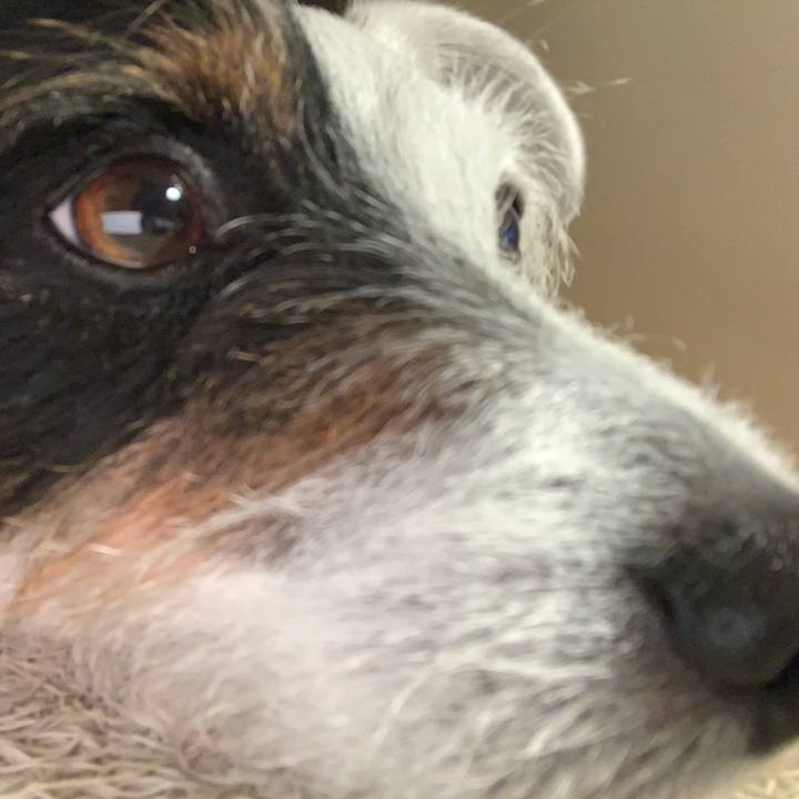 C0b5fd94 5a10 41bc b791 121e76c6ebe9 1588245700679