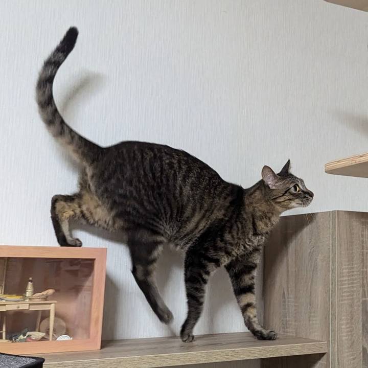 C0b65750 798a 43e9 aff6 45ef32ff3c1b 1730176627195